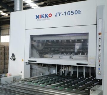 کارتن دایکاتی