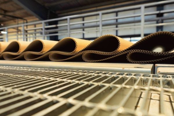 Screenshot 2024-03-06 122549